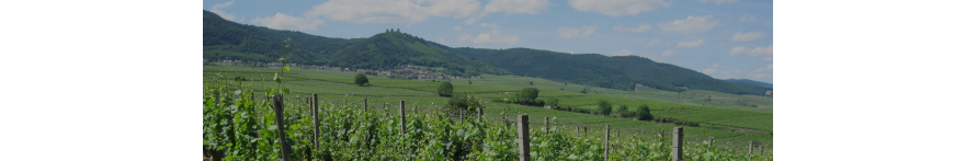 Alsace Alsace