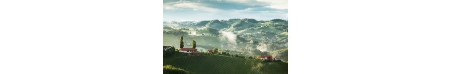 Südsteiermark Südsteiermark
