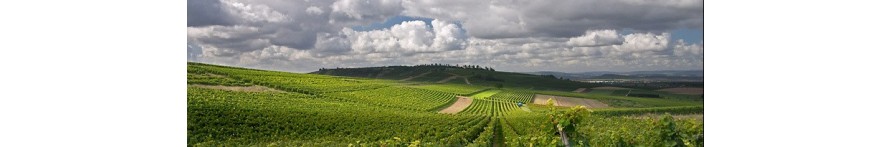 Rheinhessen Rheinhessen