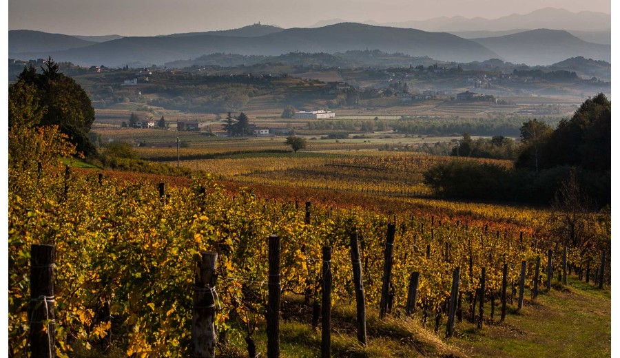 Friuli