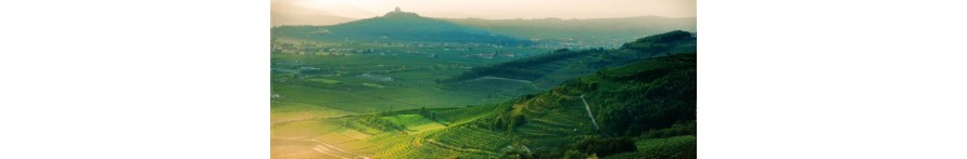 Veneto Veneto